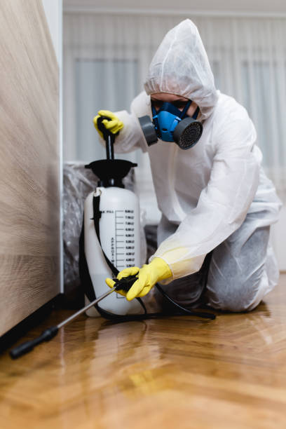 Best Pest Prevention Services  in Shawsville, VA